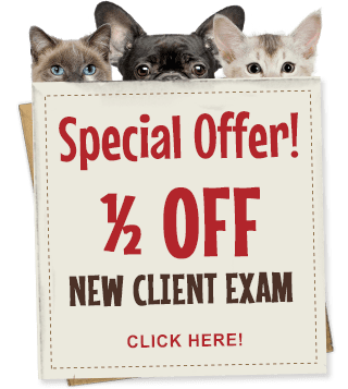 New Client Special Offer!